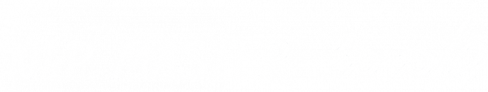 לאתר (1920 × 200 px) (1)